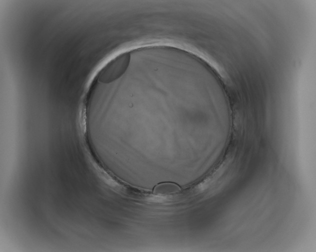 X0000115091510200911241203