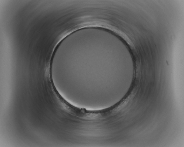 X0000115091513200911241203