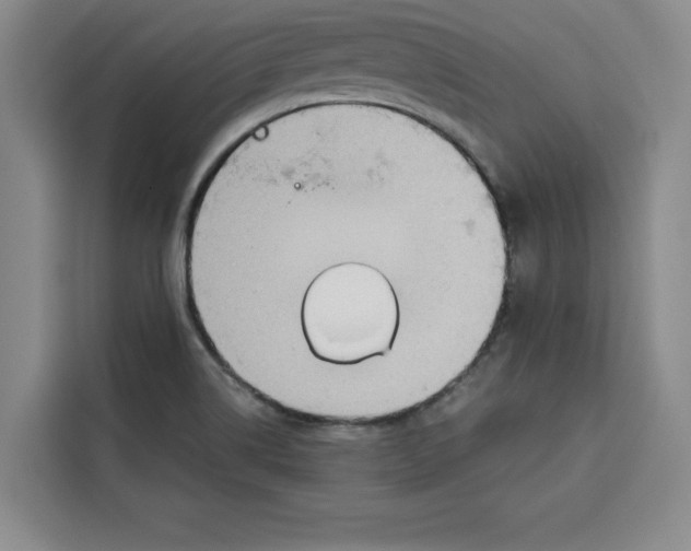 X0000115091514200911241203