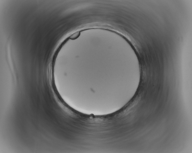 X0000115091515200911241203