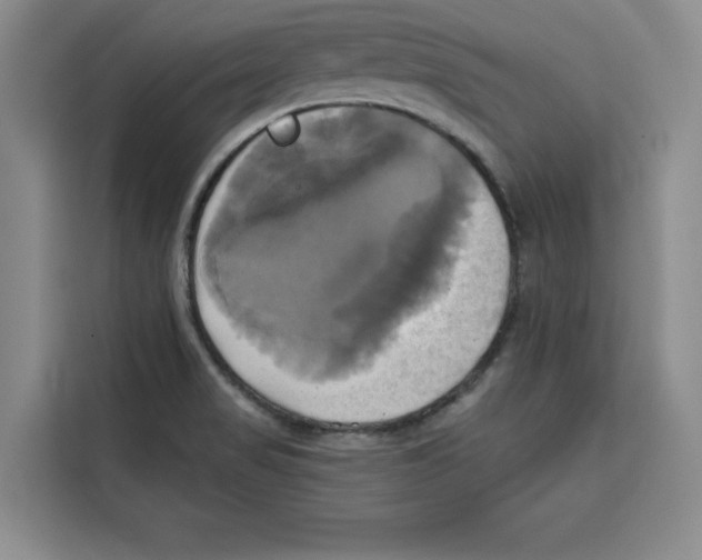 X0000115091517200911241203