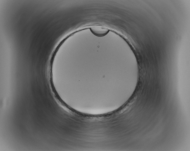 X0000115091519200911241203