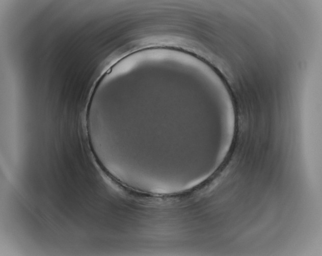 X0000115091521200911241203