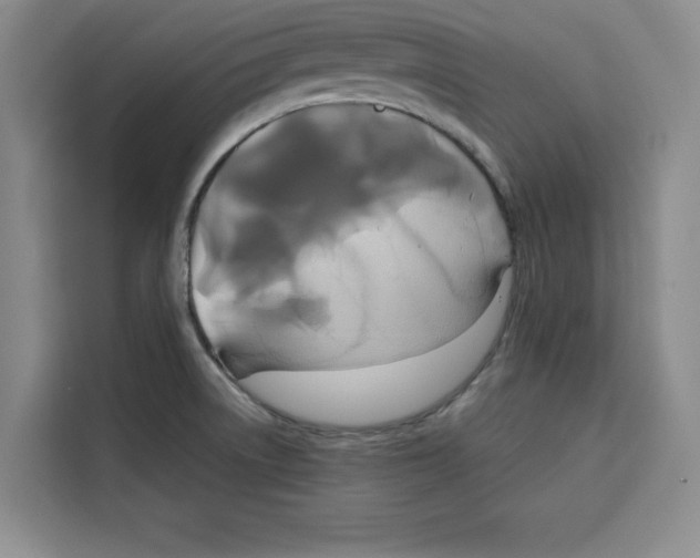 X0000115091522200911241203