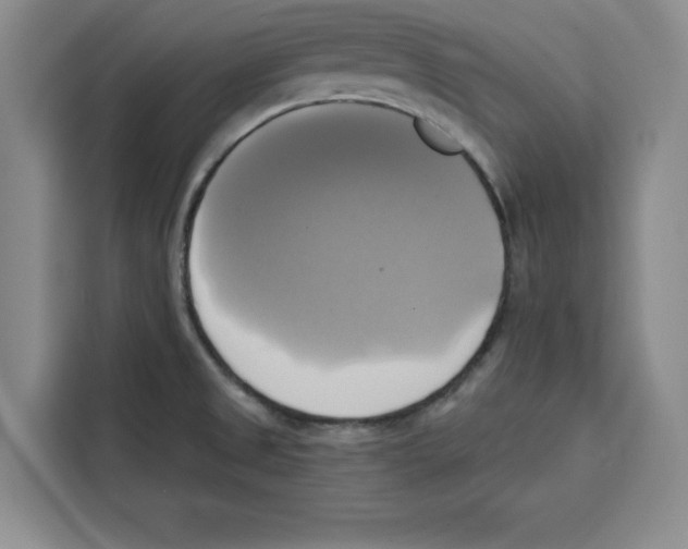 X0000115091525200911241203
