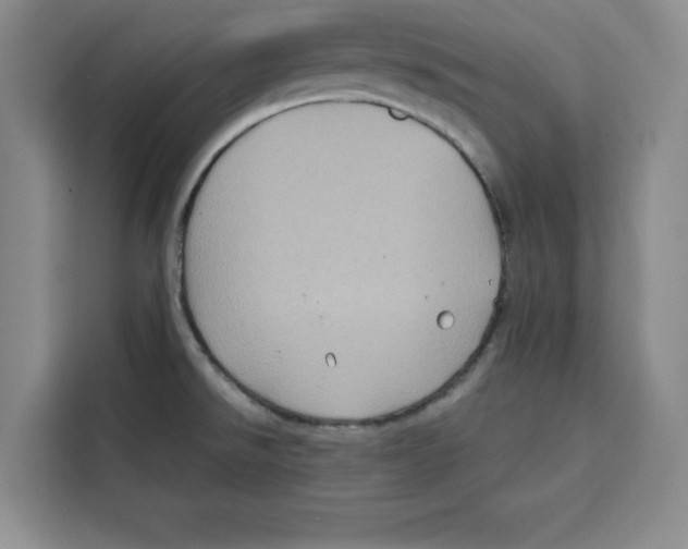 X0000115091526200911241203