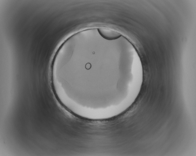 X0000115091527200911241203