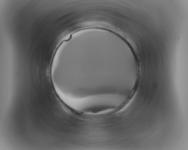 X0000115091529200911241203