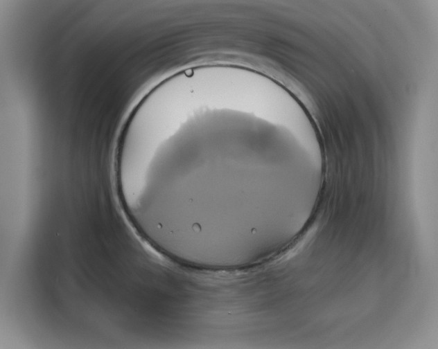 X0000115091533200911241203