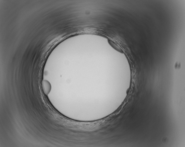 X0000115090001200912081246