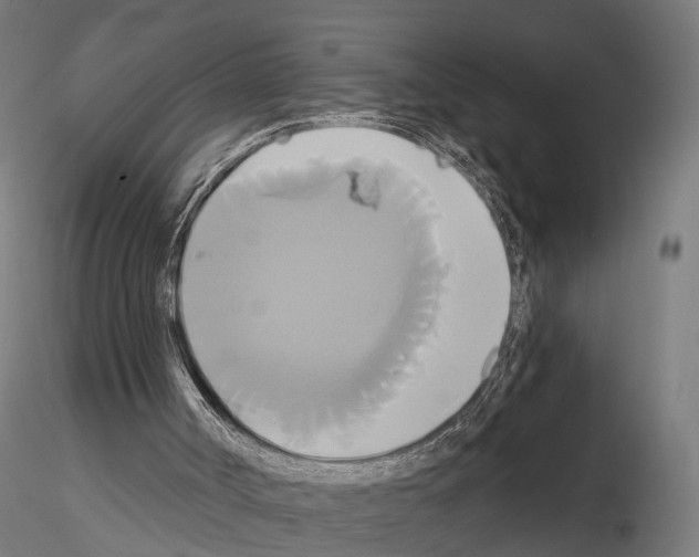 X0000115090002200912081246