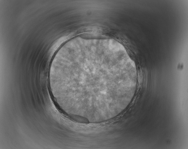 X0000115090003200912081246