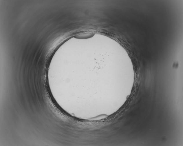 X0000115090005200912081246