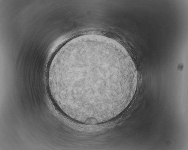 X0000115090006200912081246