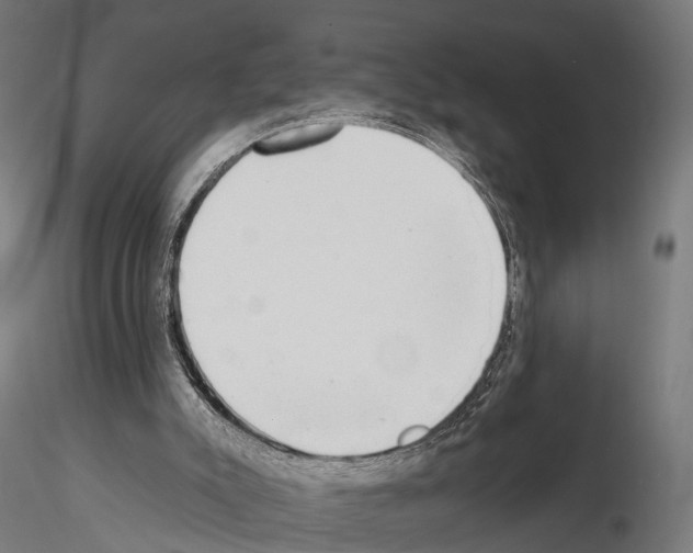 X0000115090007200912081246