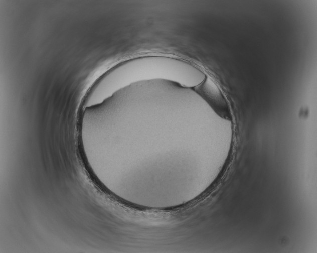X0000115090008200912081246