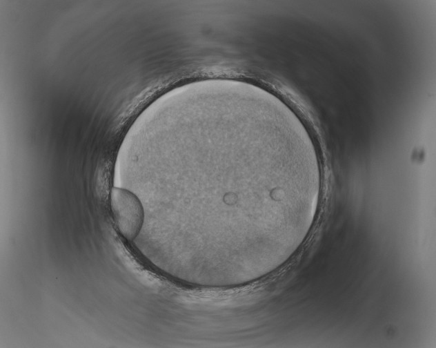 X0000115090009200912081246