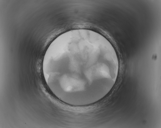 X0000115090010200912081246