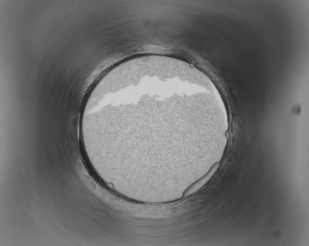 X0000115090011200912081246