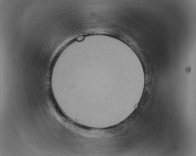 X0000115090012200912081246