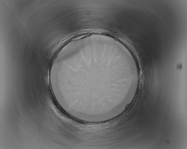 X0000115090013200912081246