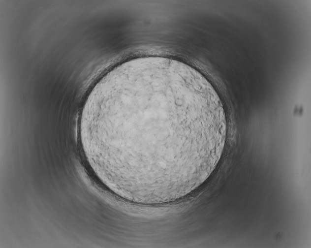 X0000115090014200912081246