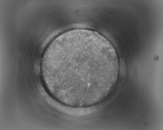 X0000115090015200912081246