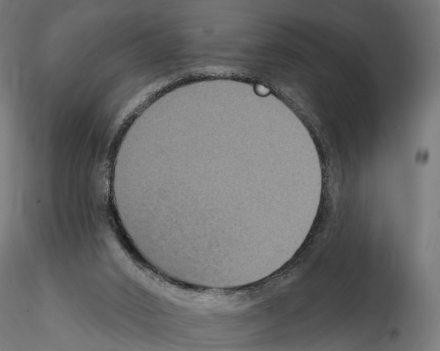 X0000115090016200912081246