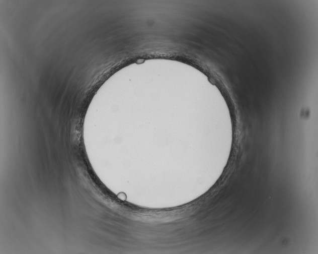 X0000115090017200912081246