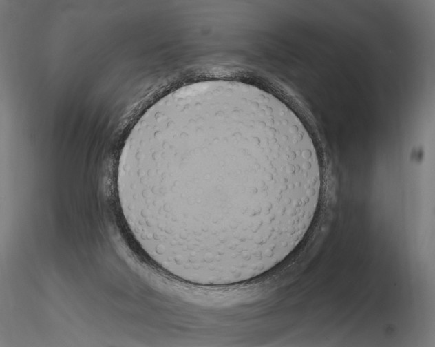 X0000115090018200912081246