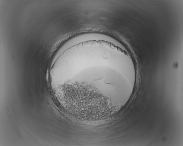 X0000115090019200912081246