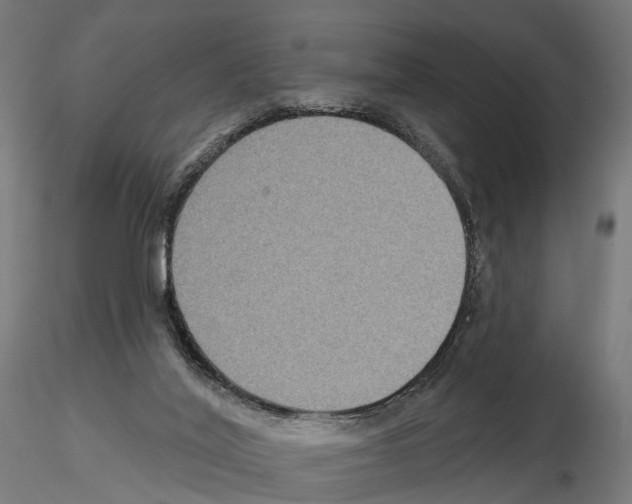 X0000115090020200912081246