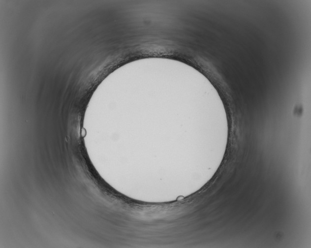 X0000115090021200912081246