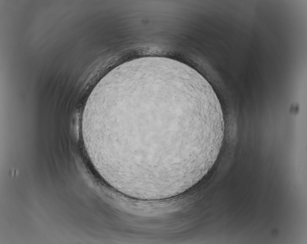 X0000115090022200912081246