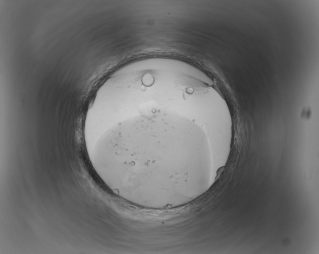 X0000115090023200912081246