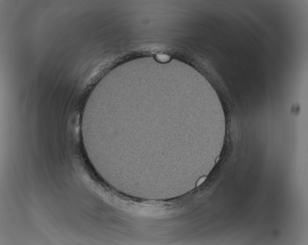 X0000115090024200912081246