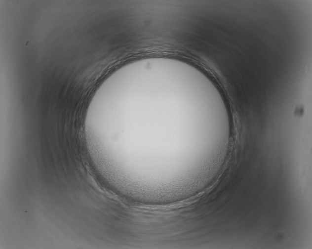 X0000115090025200912081246