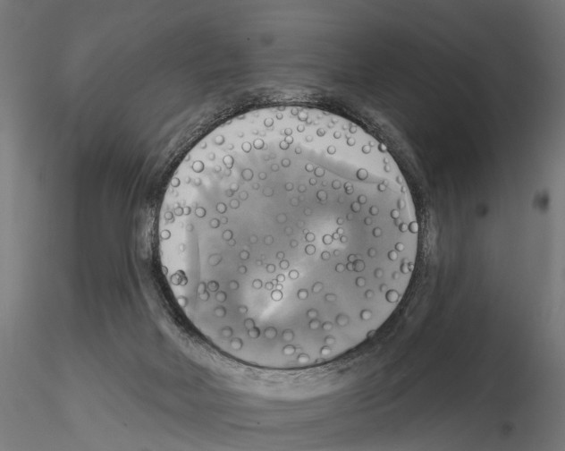 X0000115090026200912081246