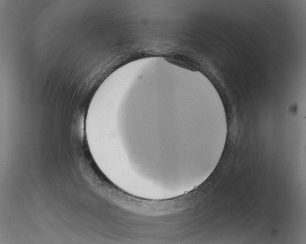 X0000115090027200912081246
