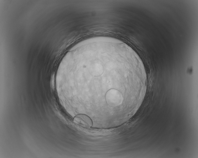 X0000115090028200912081246
