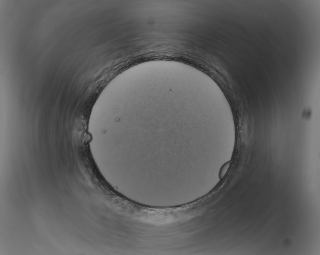 X0000115090029200912081246