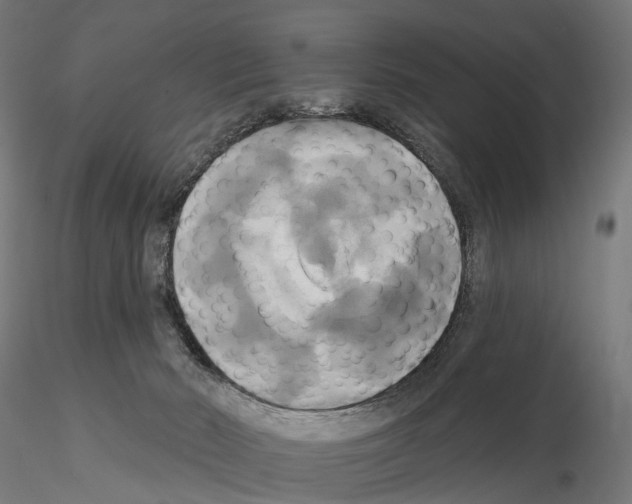 X0000115090030200912081246