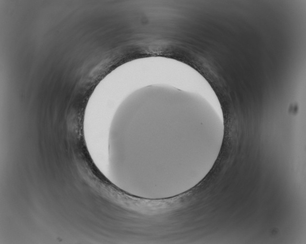 X0000115090031200912081246