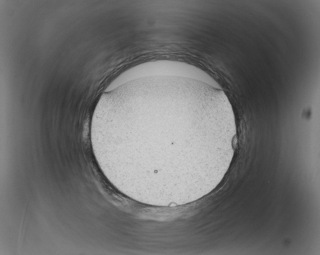 X0000115090033200912081246