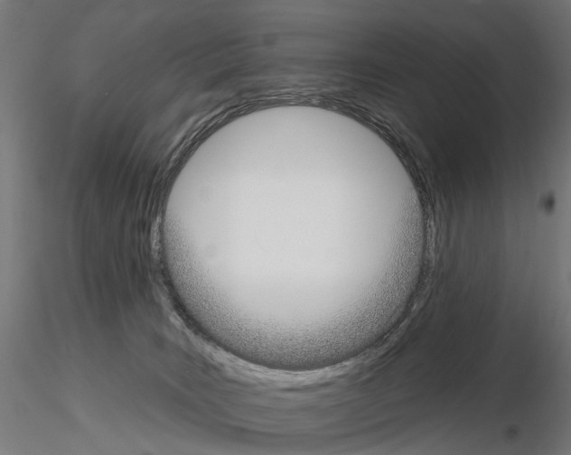 X0000115090035200912081246