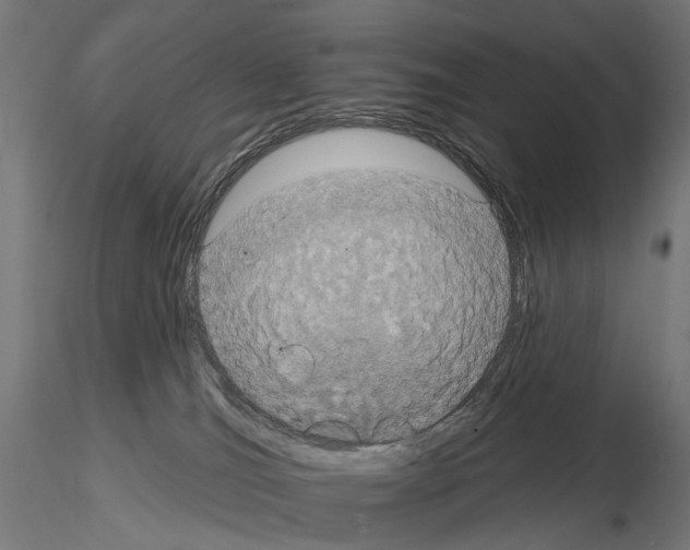 X0000115090036200912081246
