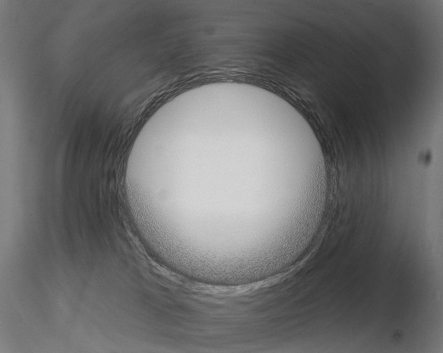 X0000115090037200912081246