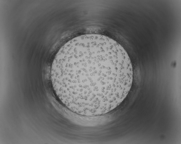 X0000115090038200912081246