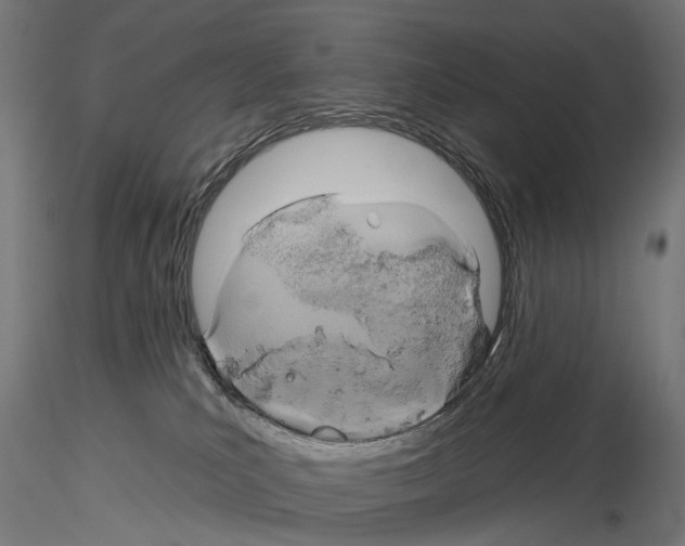 X0000115090039200912081246