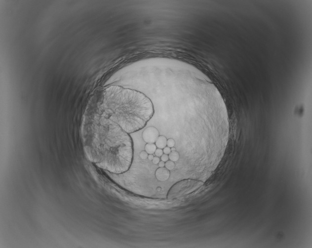 X0000115090040200912081246